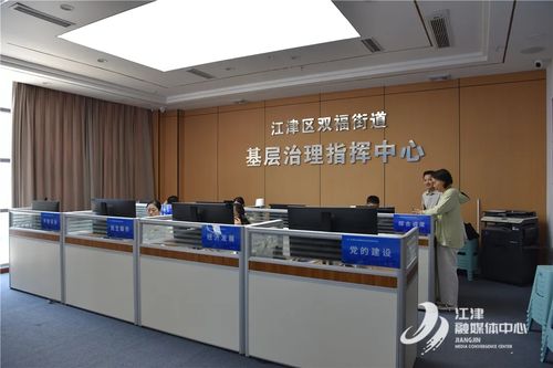 重慶江津區(qū)人民政府信息技術(shù)咨詢服務 驅(qū)動數(shù)字化轉(zhuǎn)型與區(qū)域發(fā)展